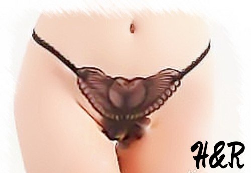 sv papillon noir Sous-vêtement Papillon noir